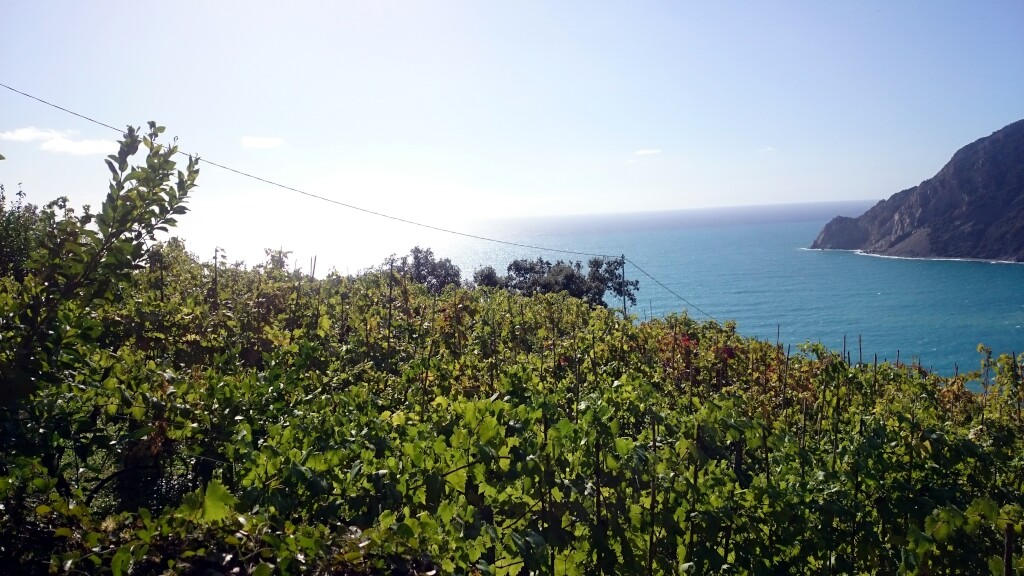 Cinque Terre