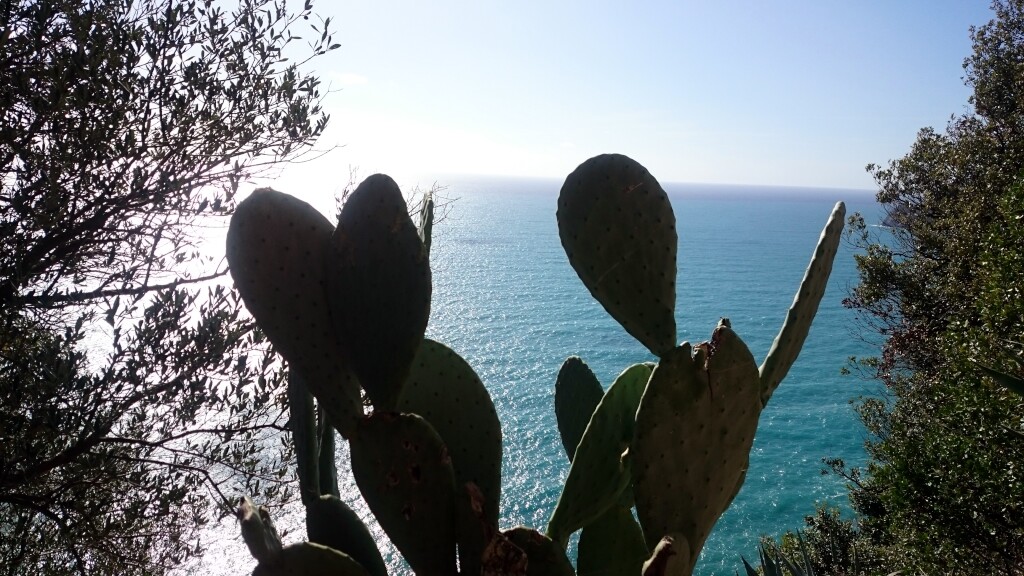 Cinque Terre