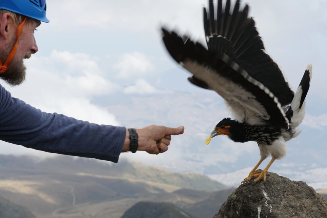 Gipfeltrekking Ecuador