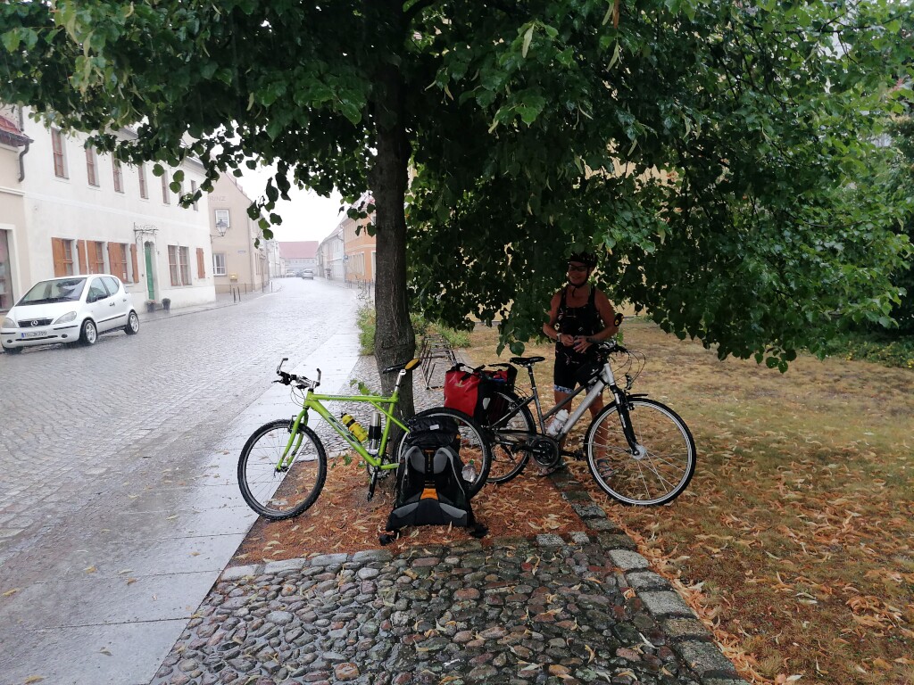 Elbe cycle path