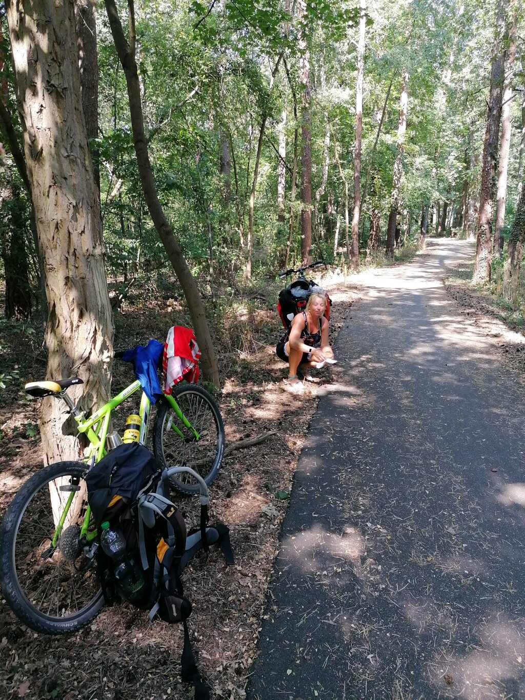 Elbe cycle path