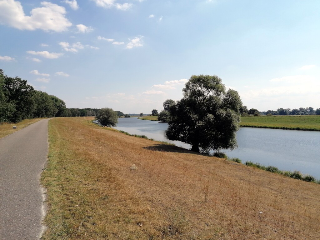 Elbe cycle path