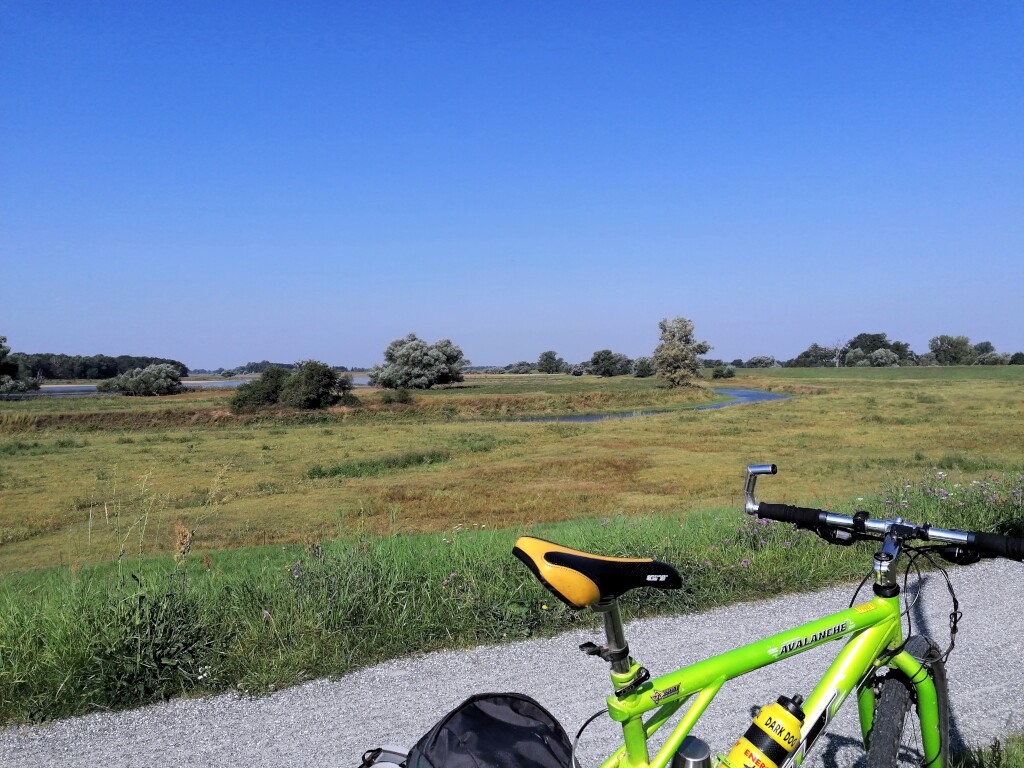 Elbe Radweg