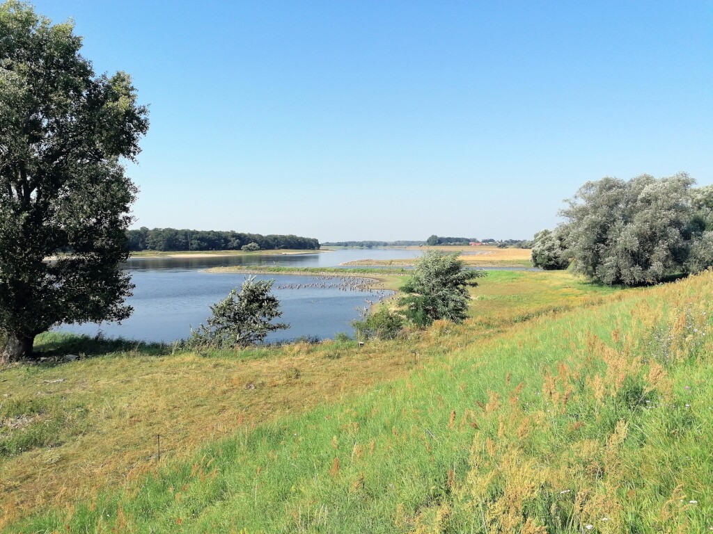 Elbe Radweg