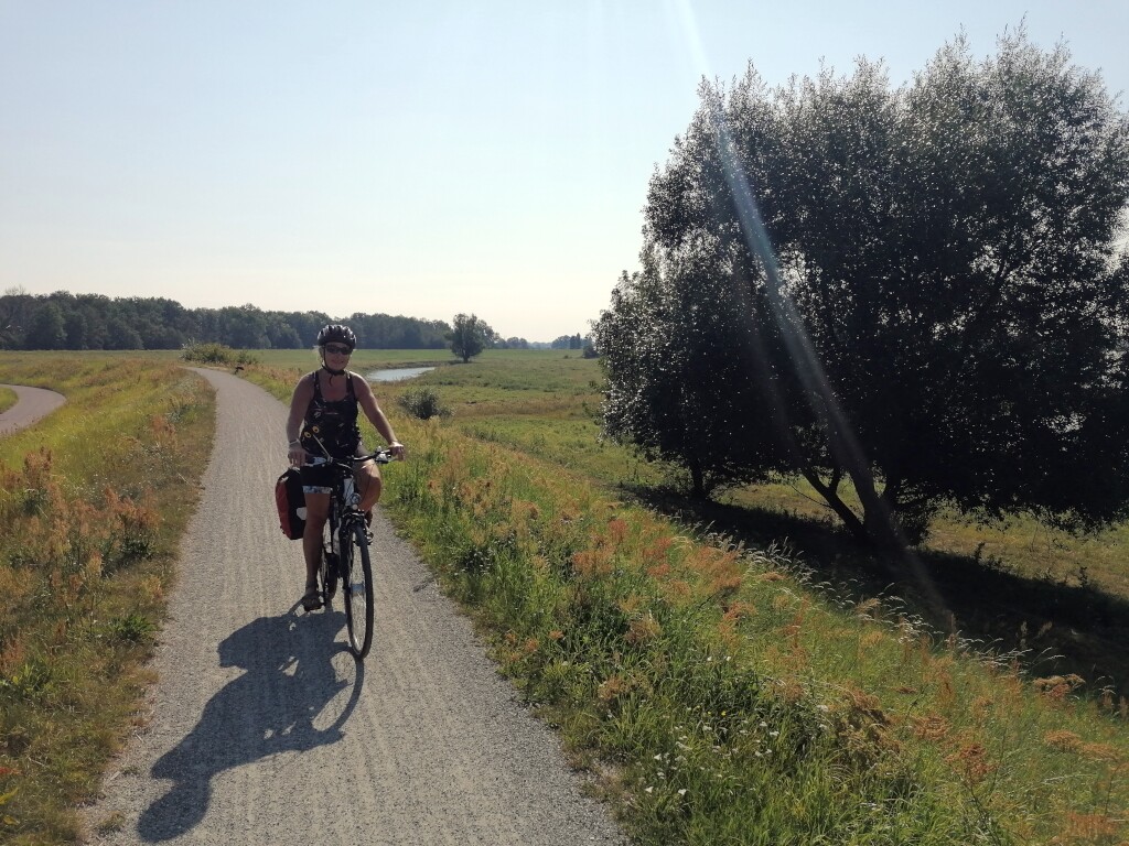 Elbe cycle path