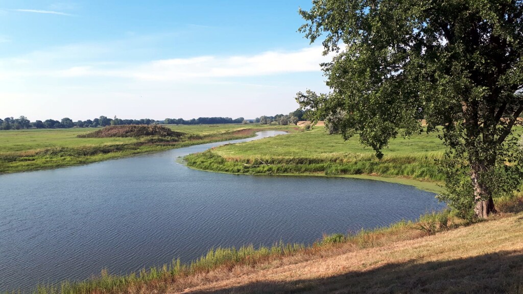 Elbe Radweg