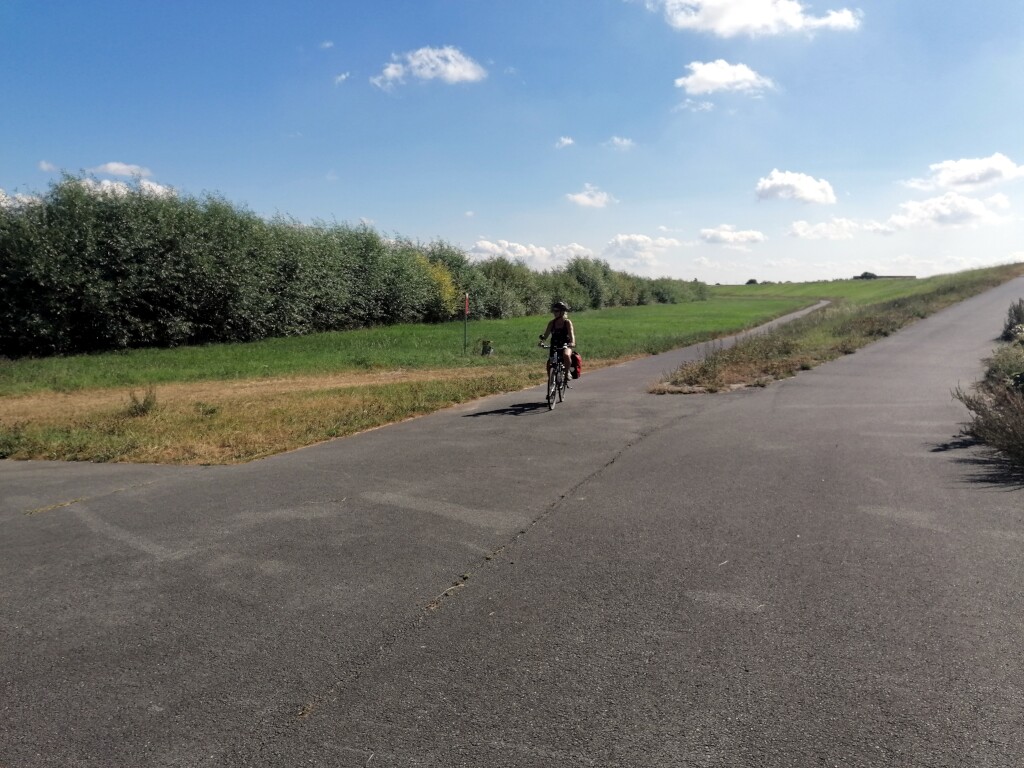 Elbe cycle path