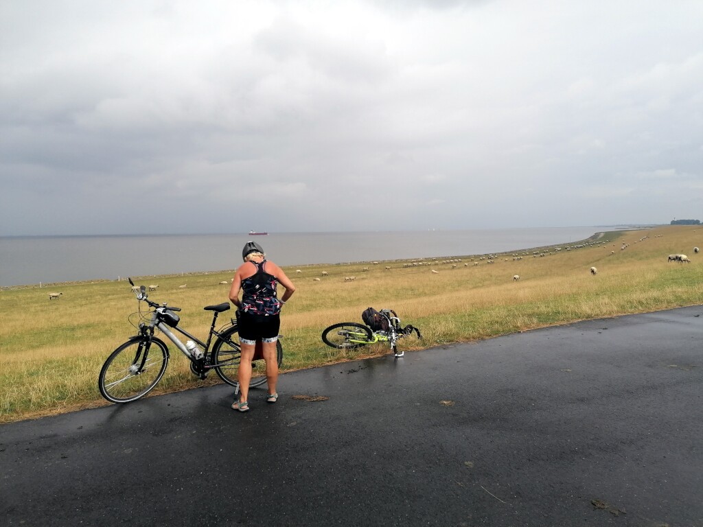 Elbe cycle path