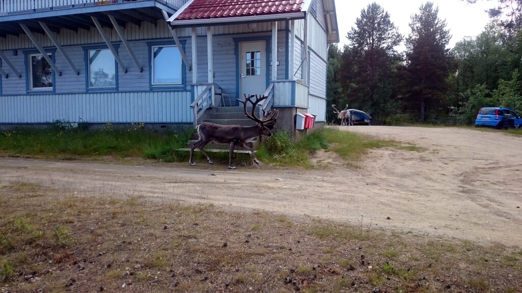 Finland and North Cape