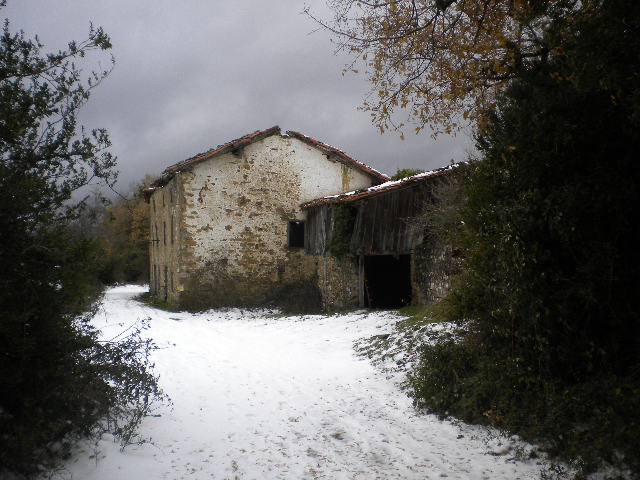 Camino francés