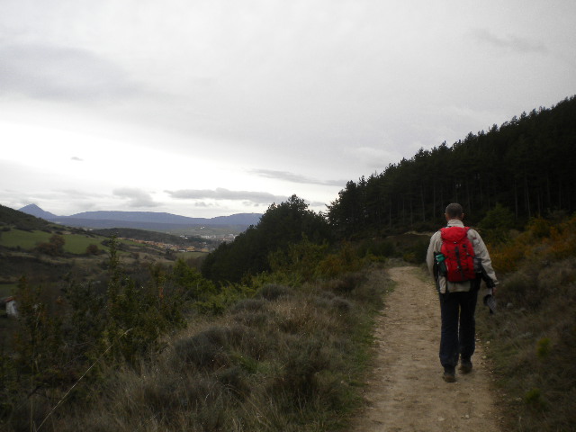 Camino francés