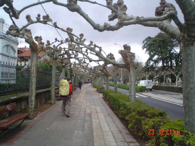 Camino francés