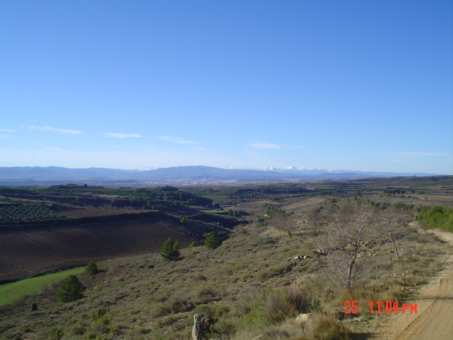 Camino francés