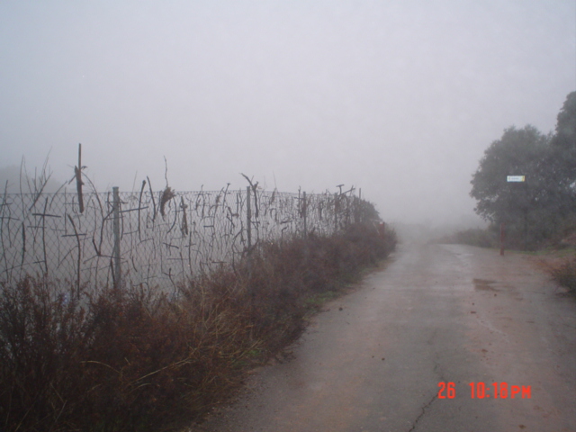 Camino francés