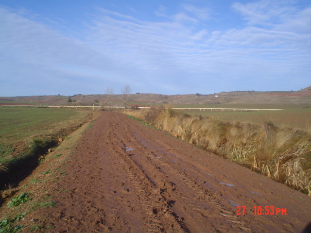 Camino francés