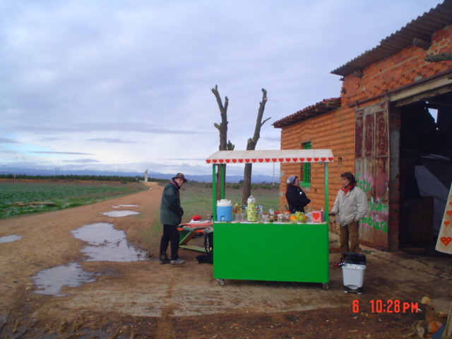 Camino francés