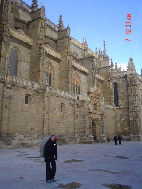 Camino francés