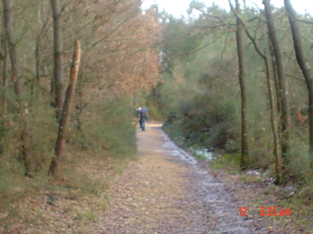Camino francés