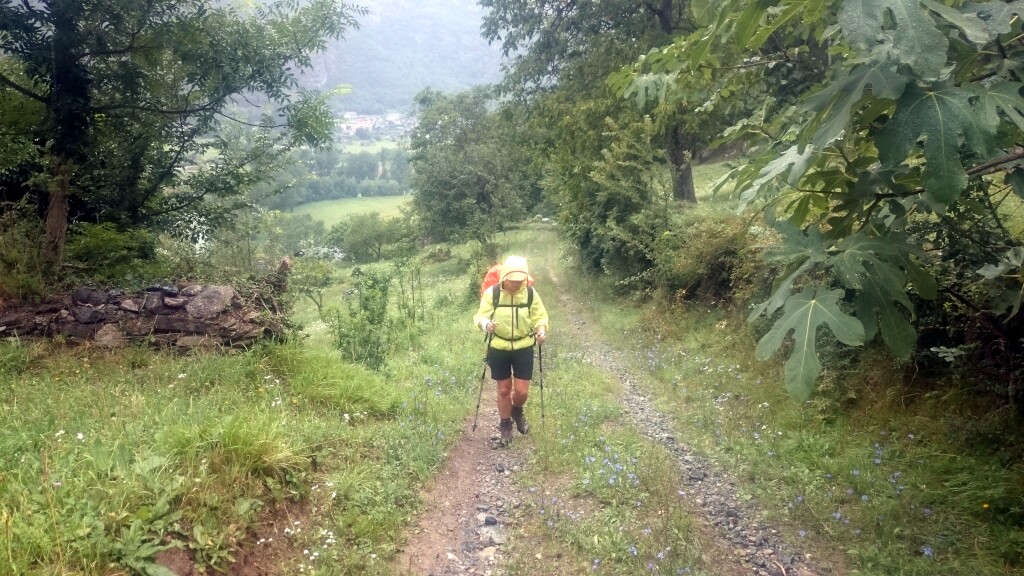 Via francigena 2017