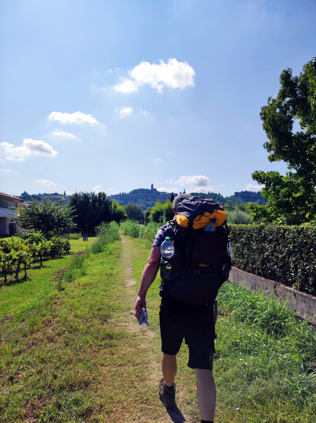 Via francigena 2024