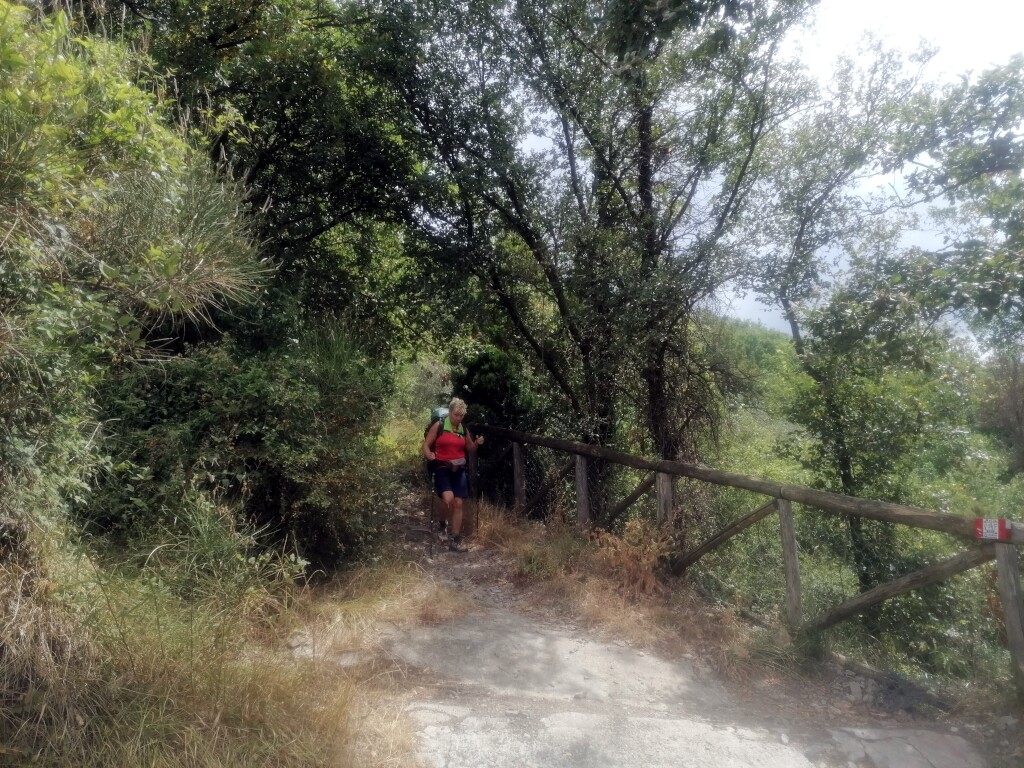 Via francigena 2024
