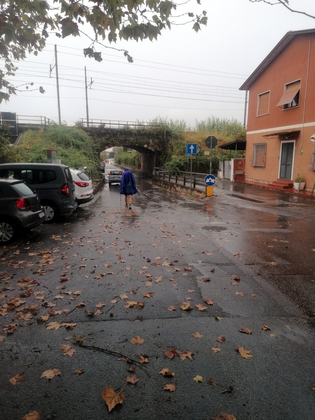Via francigena 2024