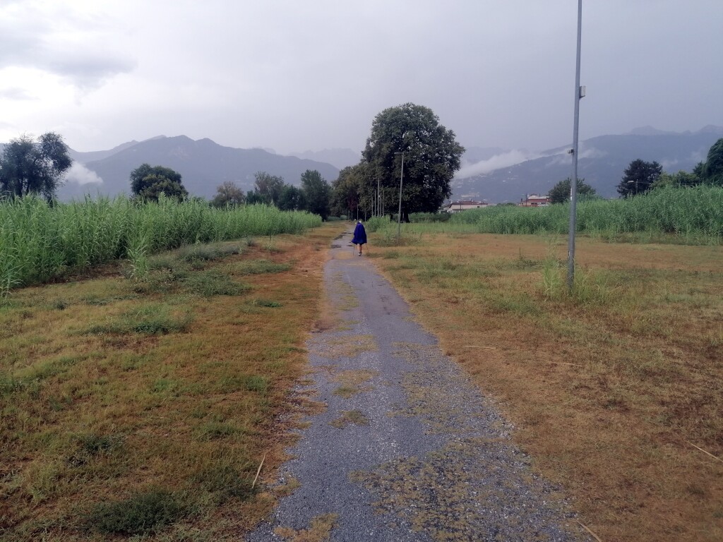 Via francigena 2024