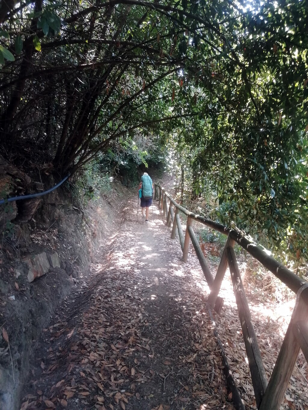 Via francigena 2024