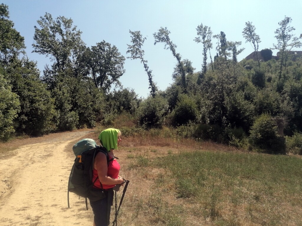Via francigena 2024