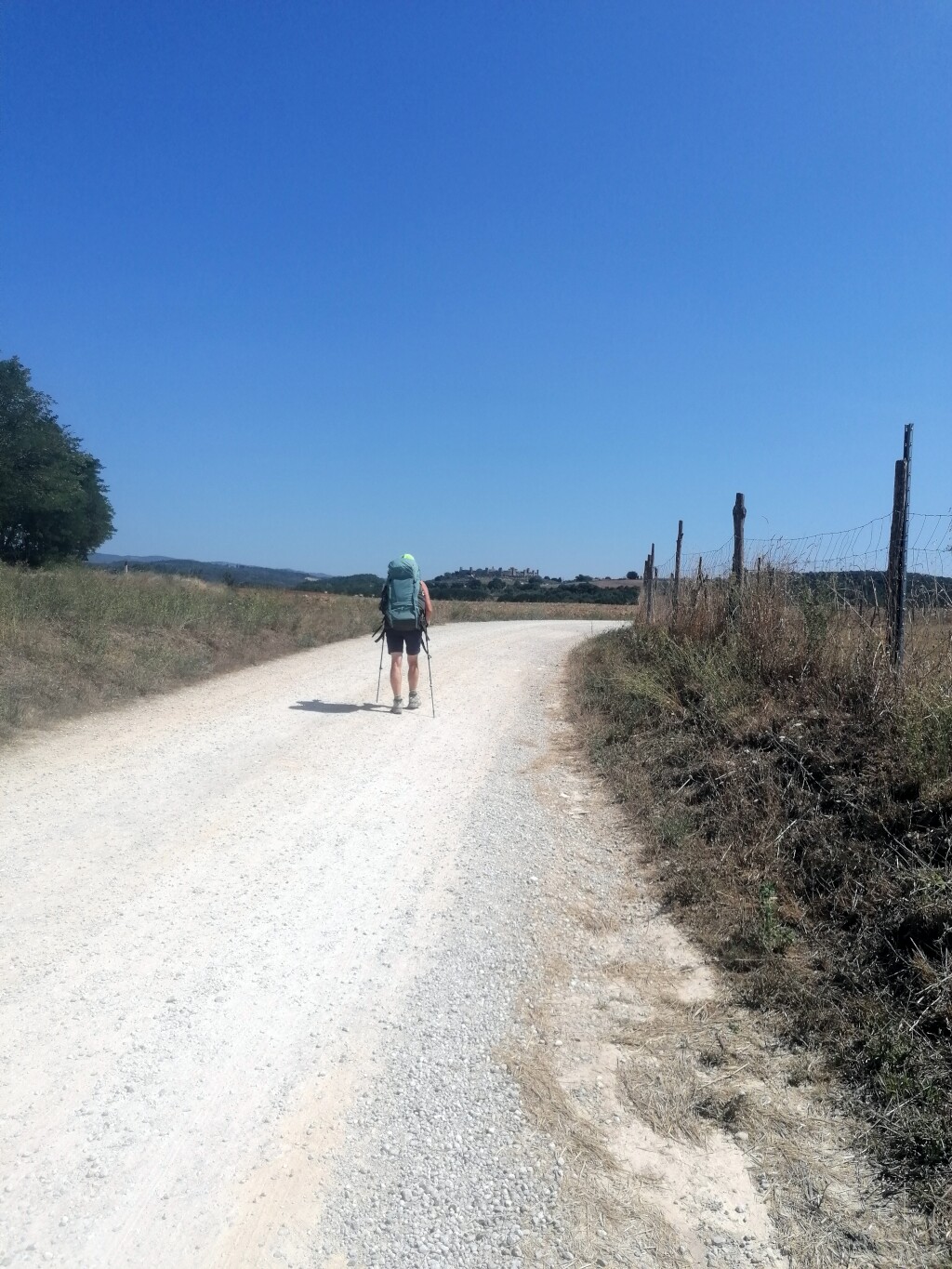 Via francigena 2024