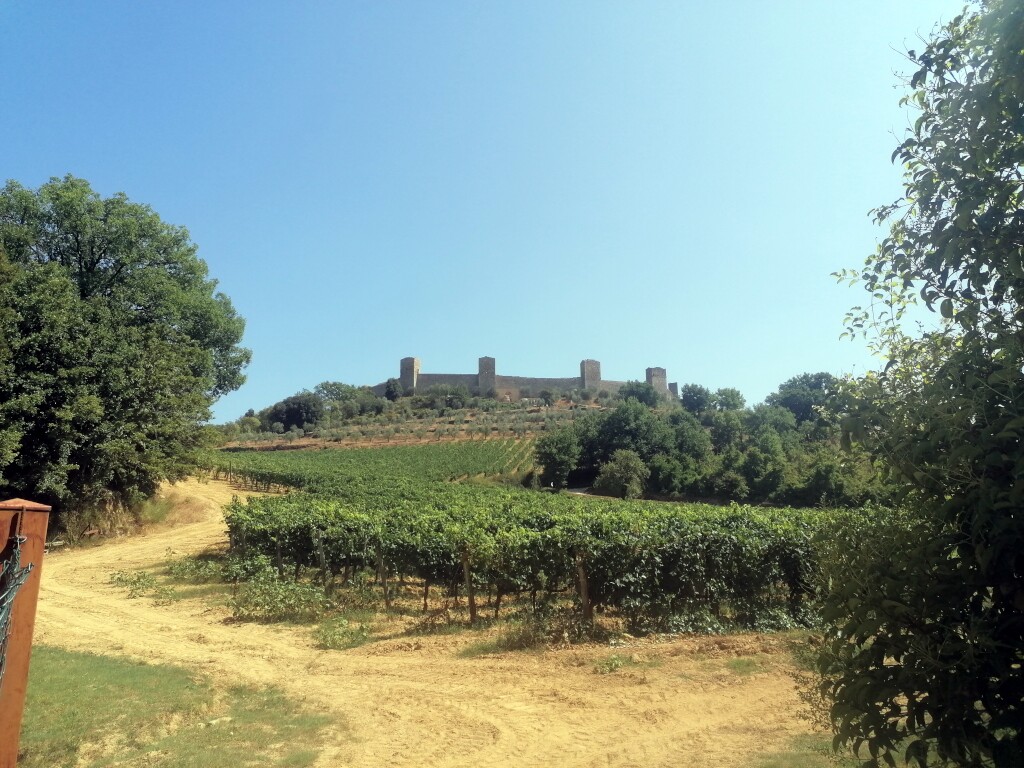 Via francigena 2024