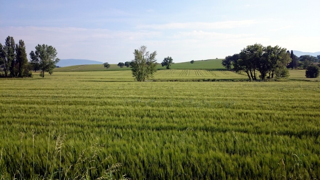 Franziskus Weg