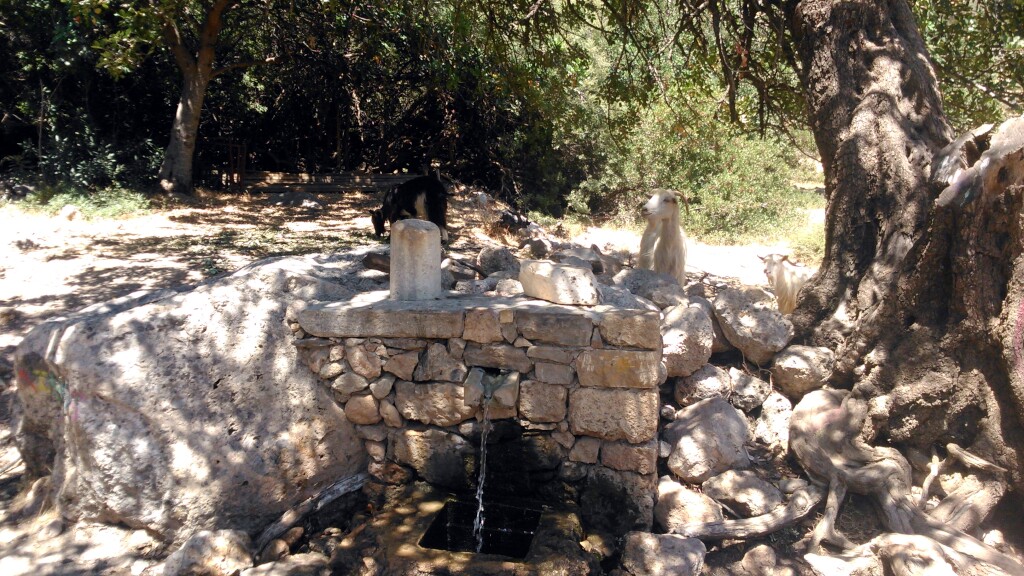 Jerusalem way