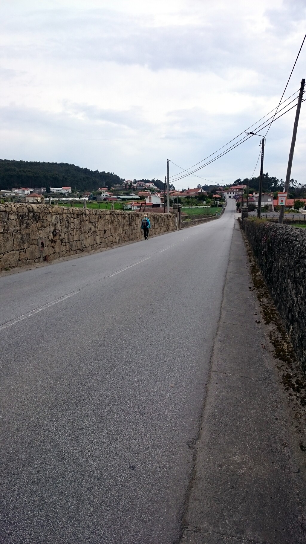 Caminho português