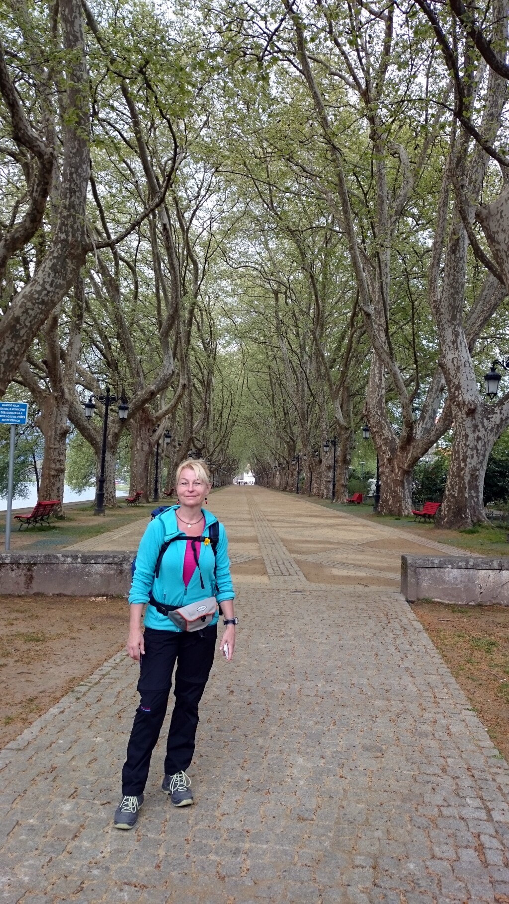 Caminho português
