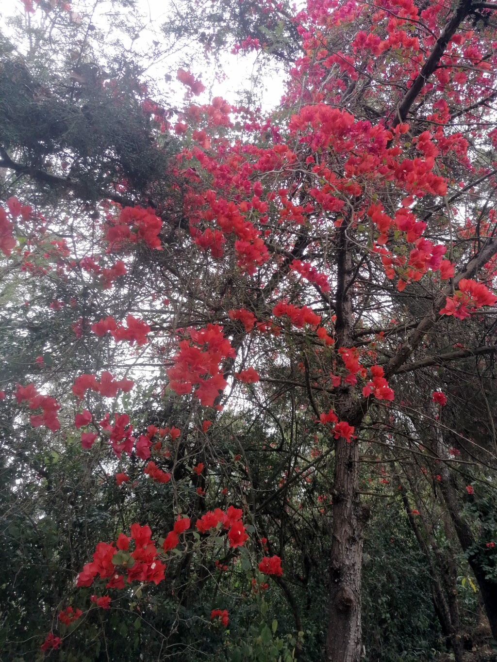 Kilimandscharo & Meru