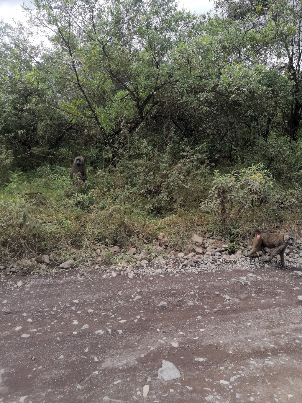 Kilimandscharo & Meru