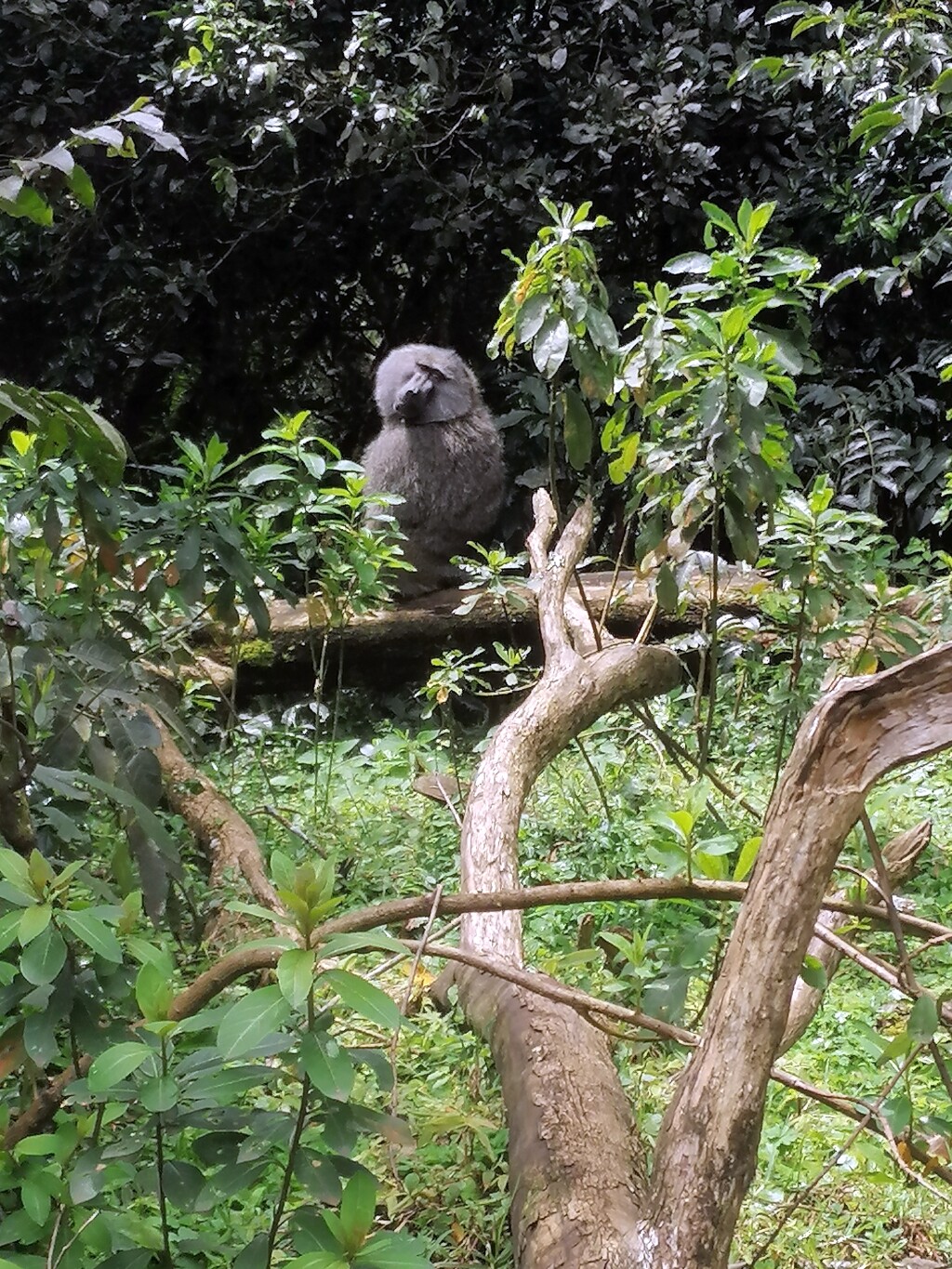 Kilimandscharo & Meru