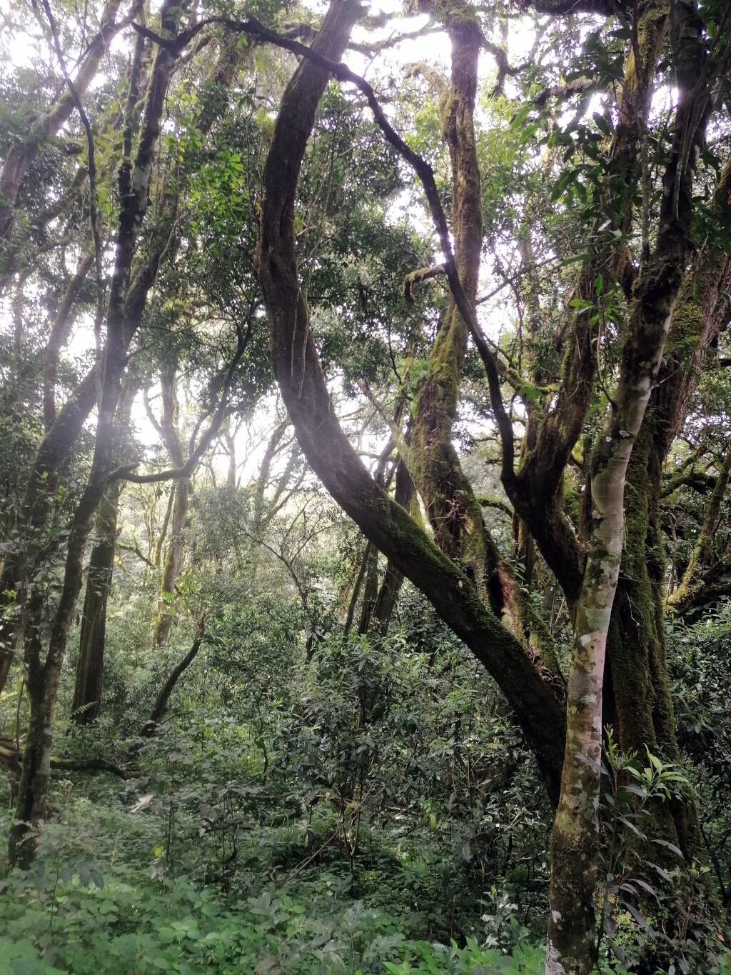 Kilimandscharo & Meru