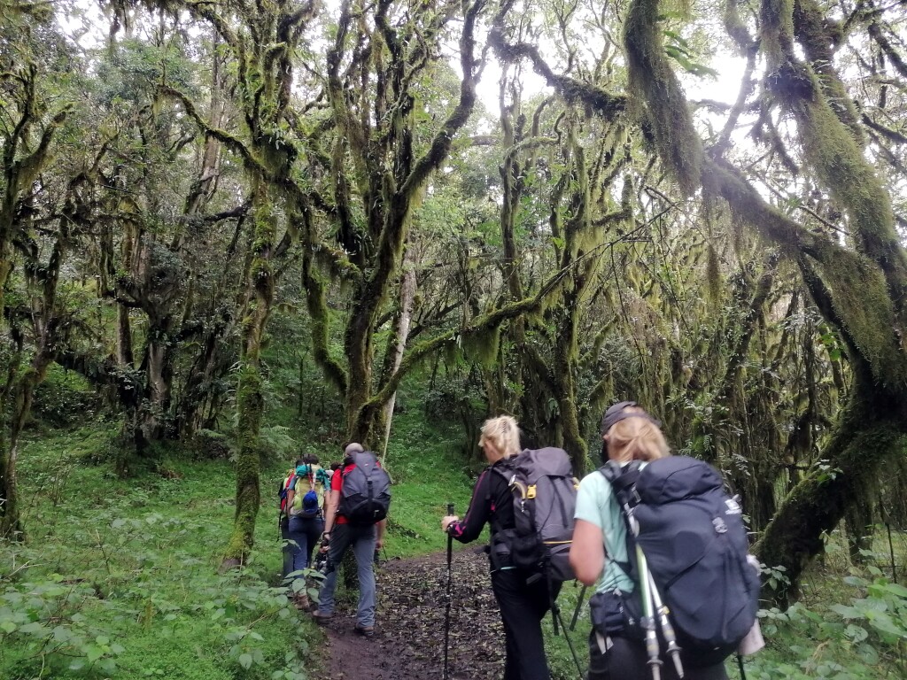 Kilimandscharo & Meru