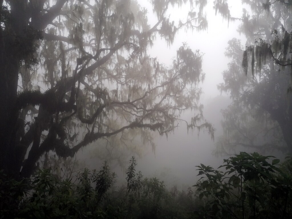 Kilimandscharo & Meru