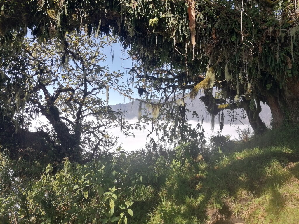 Kilimandscharo & Meru