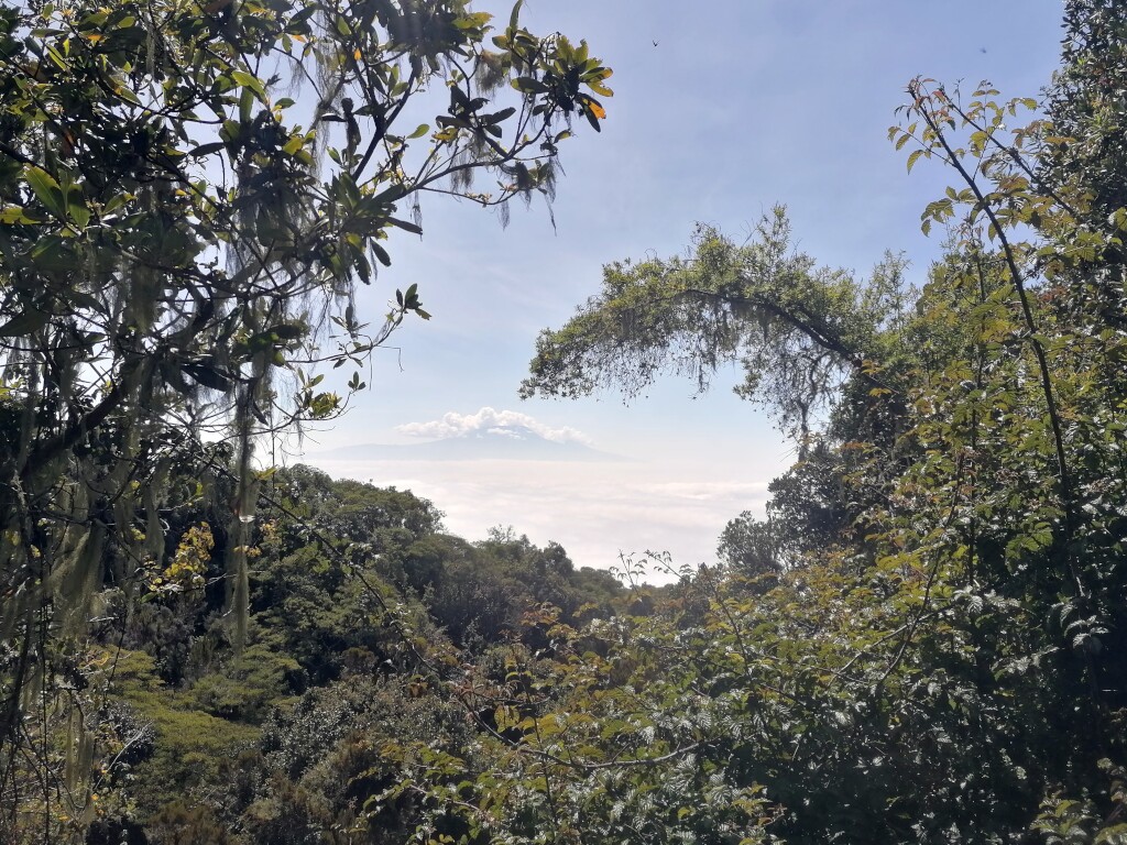 Kilimandscharo & Meru