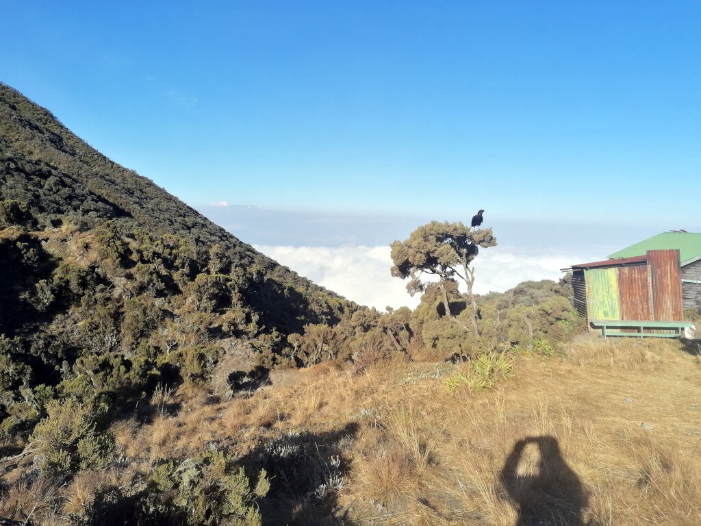 Kilimandscharo & Meru