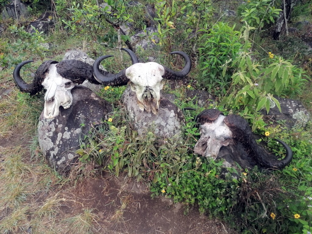 Kilimandscharo & Meru