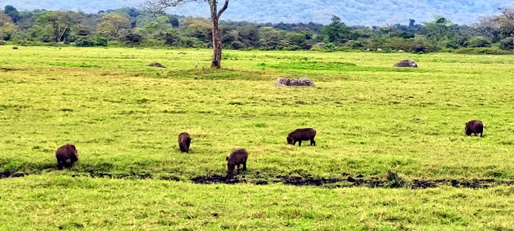 Kilimandscharo & Meru