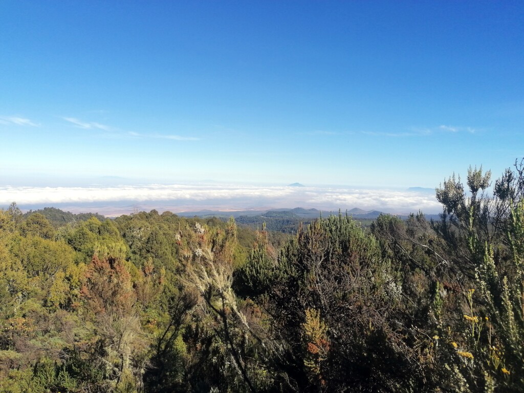 Kilimandscharo & Meru