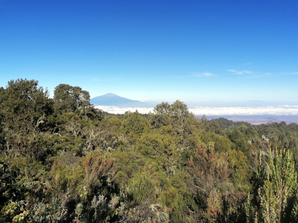 Kilimandscharo & Meru