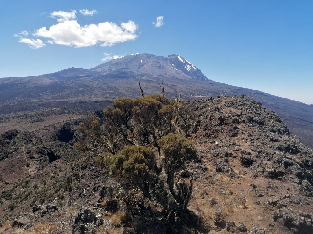 Kilimandscharo & Meru