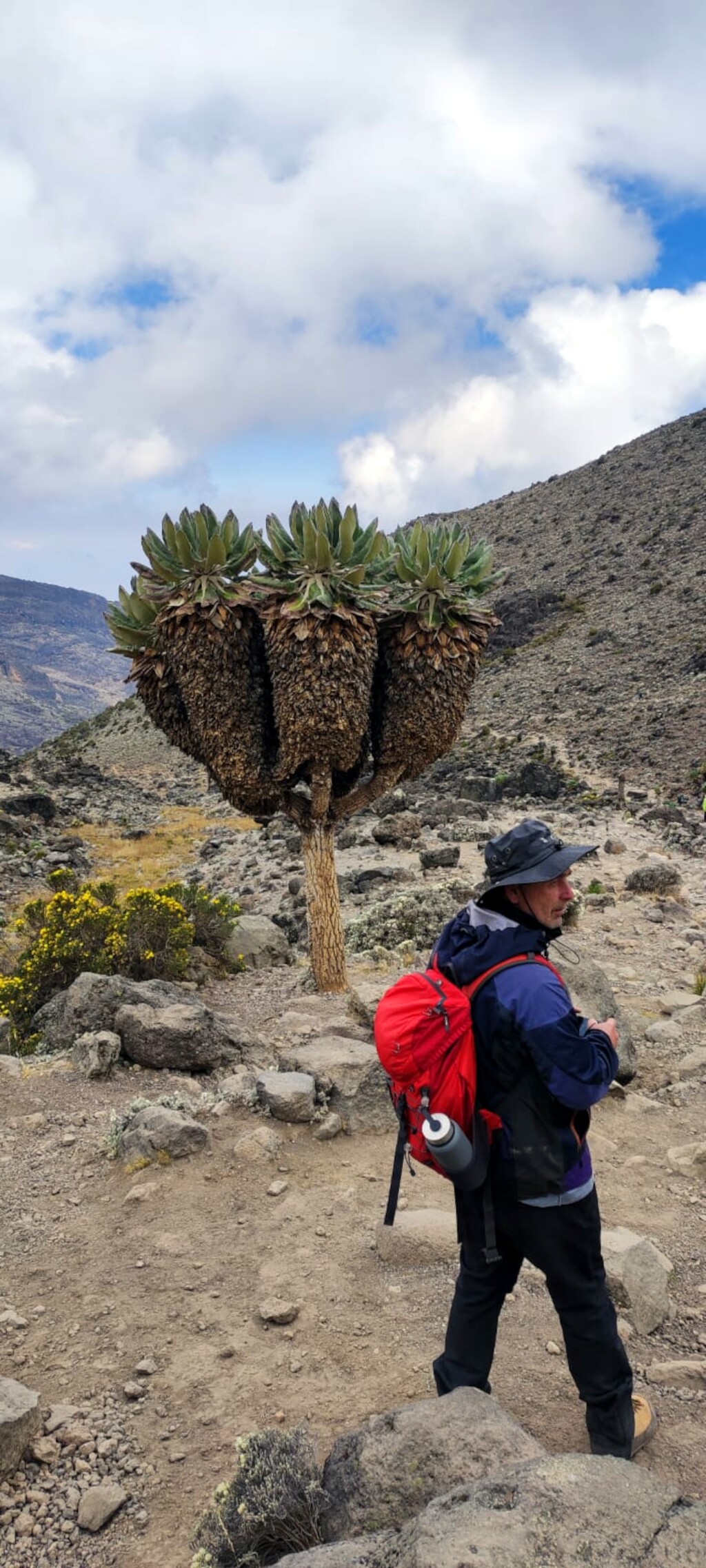 Kilimandscharo & Meru